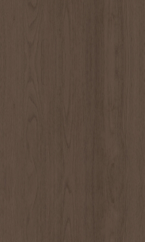 ModernWood Texture