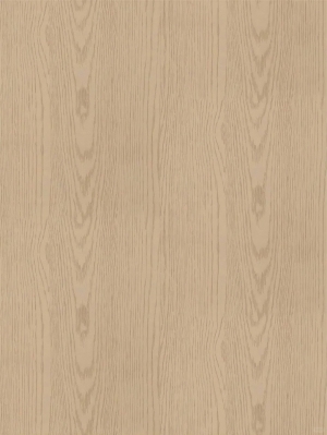 ModernWood Texture