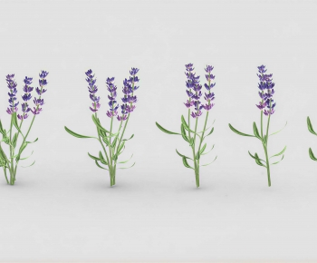 Modern Flowers And Grass-ID:130772115