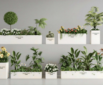Modern Flower Bed, Flower Bowl, Flower Box-ID:839378128