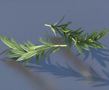 Modern Tree/shrub/grass-ID:305922036