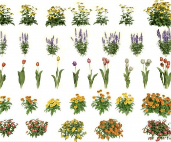 Modern Flowers And Grass-ID:942202094