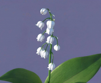 Modern Flowers And Grass-ID:846894031