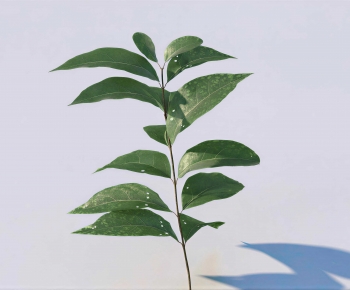 Modern Tree/shrub/grass-ID:773201942