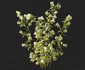 Modern Flowers And Grass-ID:243765128