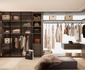 Modern Clothes Storage Area-ID:213462119