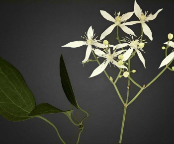 Modern Flowers And Grass-ID:361998089