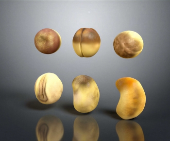 Modern Crop-ID:338319067