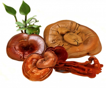 Modern Food/vegetables/fruit-ID:382258892
