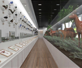 Modern Exhibition Hall-ID:233769895