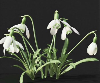 Modern Flowers And Grass-ID:707366941