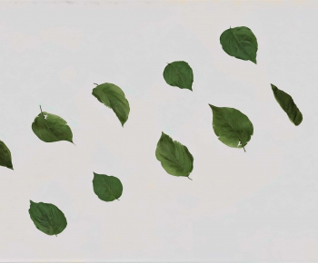 Modern Plant-ID:653438091