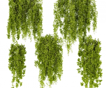 Modern Vine-ID:176683901
