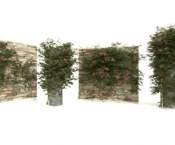 Modern Vine-ID:804188018