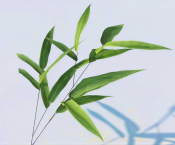 Modern Plant-ID:715773114