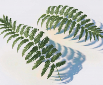 Modern Plant-ID:216139087