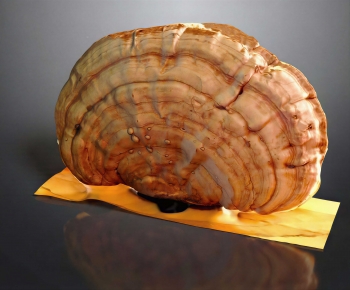 Modern Food/vegetables/fruit-ID:543095113