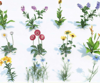 Modern Flowers And Grass-ID:647919258