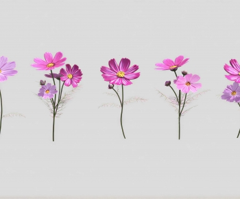 Modern Flowers And Grass-ID:637159315