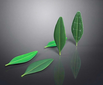 Modern Flowers And Grass-ID:678086047