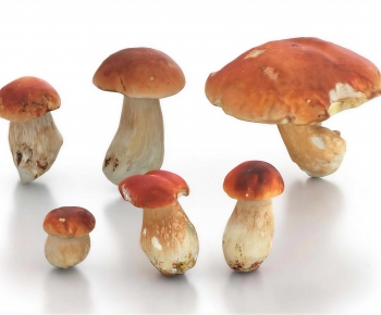 Modern Vegetables-ID:113337996