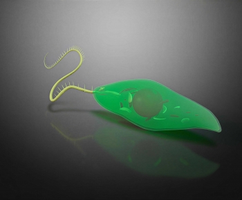 Modern Medical Equipment-ID:114521983