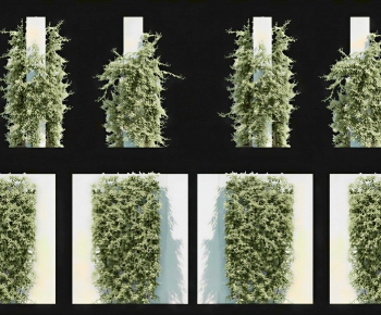Modern Vine-ID:814049277