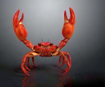 Modern Aquatic Animals-ID:245580912