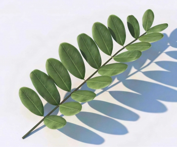 Modern Tree/shrub/grass-ID:593864928