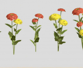 Modern Flowers And Grass-ID:221724995