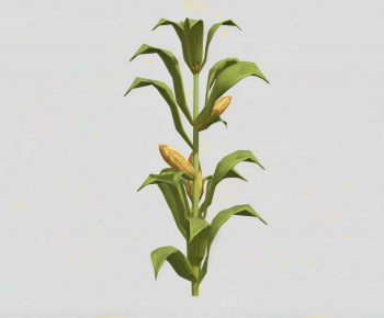 Modern Crop-ID:369318014