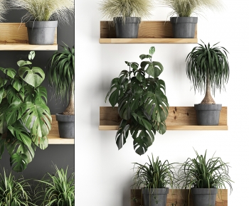 Modern Potted Green Plant-ID:220446117