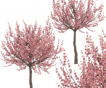 Modern Tree-ID:992510349