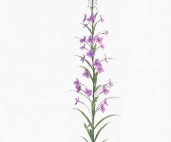 Modern Flowers And Grass-ID:627402079