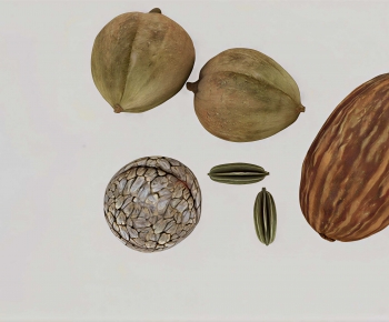 Modern Food/vegetables/fruit-ID:364506016