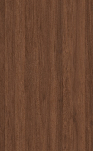 ModernWood Texture