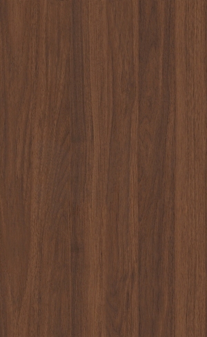 ModernWood Texture
