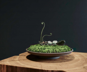 Modern Bonsai-ID:954875956