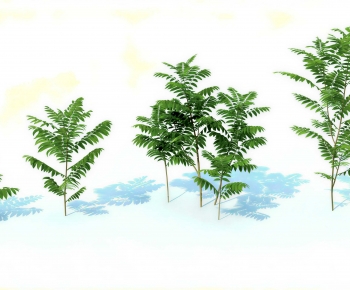 Modern Tree-ID:830641988