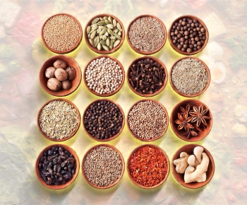 Modern Seasoning Jar-ID:958745963