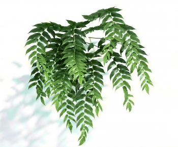 Modern Plant-ID:980165963