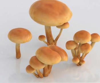 Modern Vegetables-ID:823421001