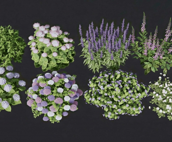 Modern Shrubbery-ID:353159921