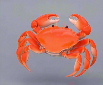 Modern Aquatic Animals-ID:298345099