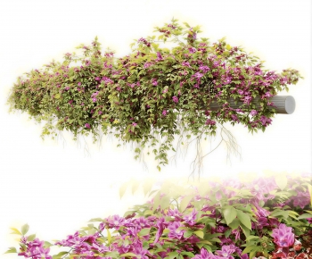 Modern Vine-ID:864234922