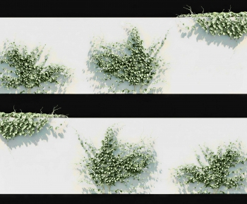Modern Vine-ID:744911915