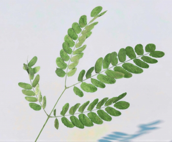 Modern The Grass-ID:715358974