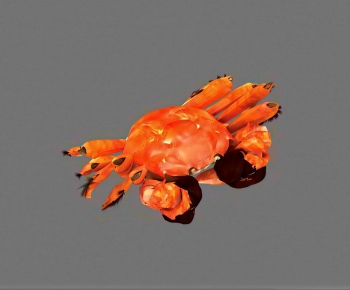 Modern Aquatic Product-ID:199249987