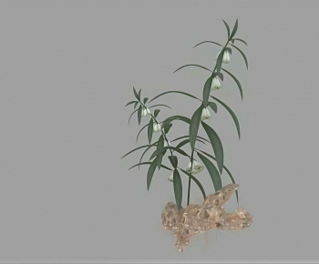 Modern Other-ID:100510133