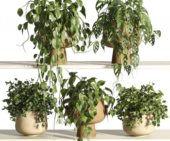 Modern Potted Green Plant-ID:979959015